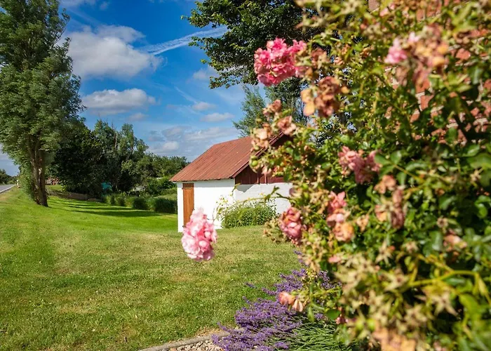 Mein Haus Διαμέρισμα *